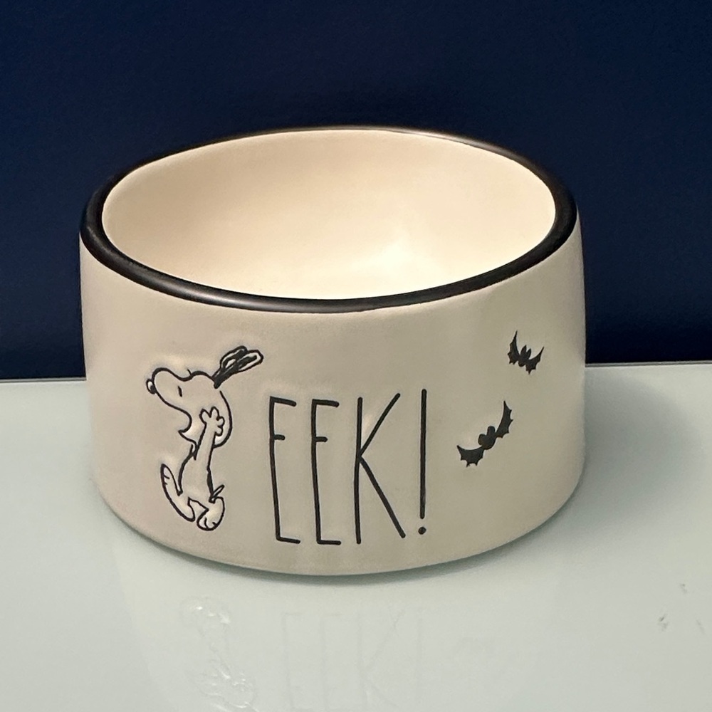 NWT Rae Dunn x Peanuts Halloween Dog Dish